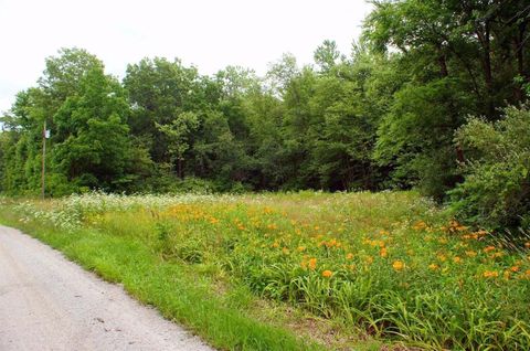 Unimproved Land in North Judson IN 600 1200.jpg