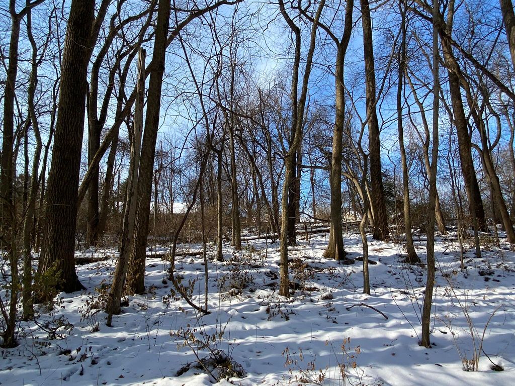 Photo of 850 Avondale Street, Valparaiso, IN 46385 (MLS # 833703)