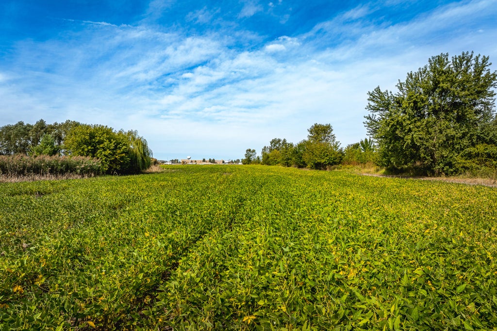 Photo of 450 Us-6, Portage, IN 46368 (MLS # 845355)