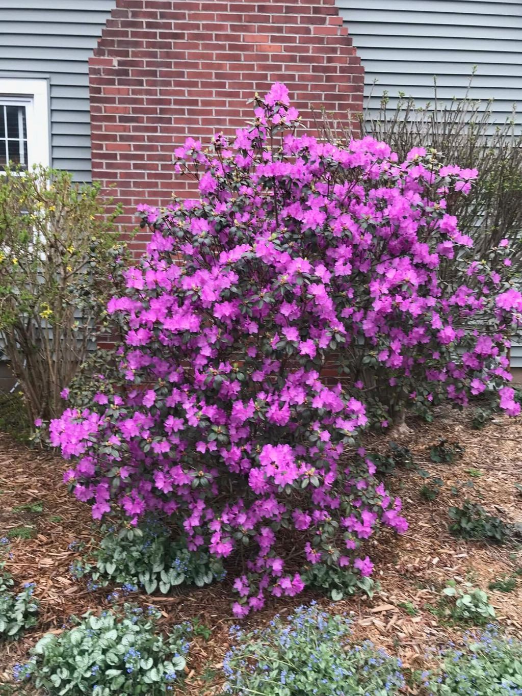 Photo of 1612 Richards Street, La Porte, IN 46350 (MLS # 834058)