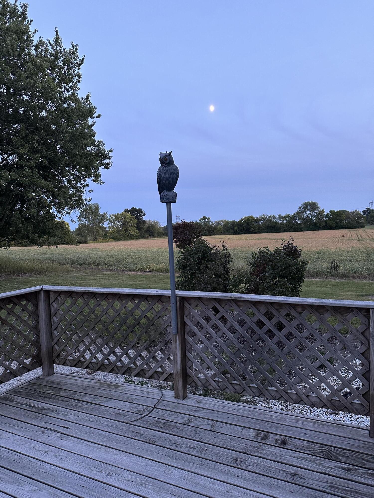 16393 Hendricks Street