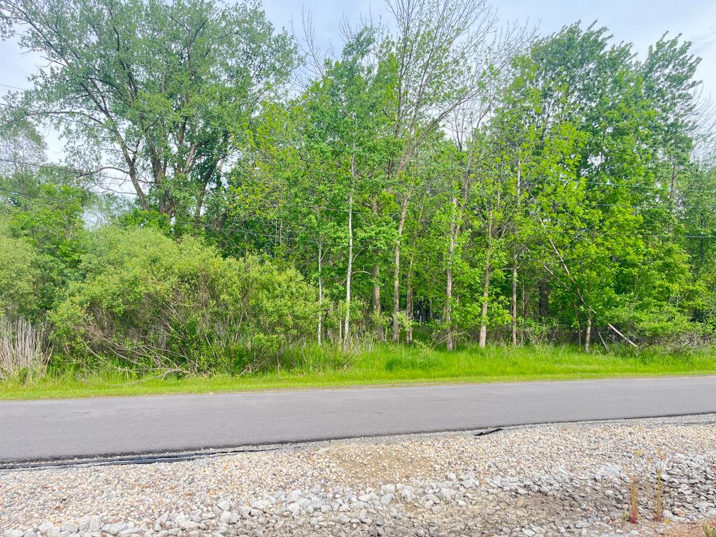 Photo of 123 S Lillian St, Griffith, IN 46319 (MLS # 839768)
