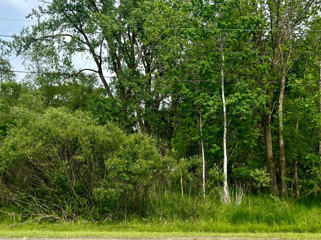 Photo of 123 S Lillian St, Griffith, IN 46319 (MLS # 839768)