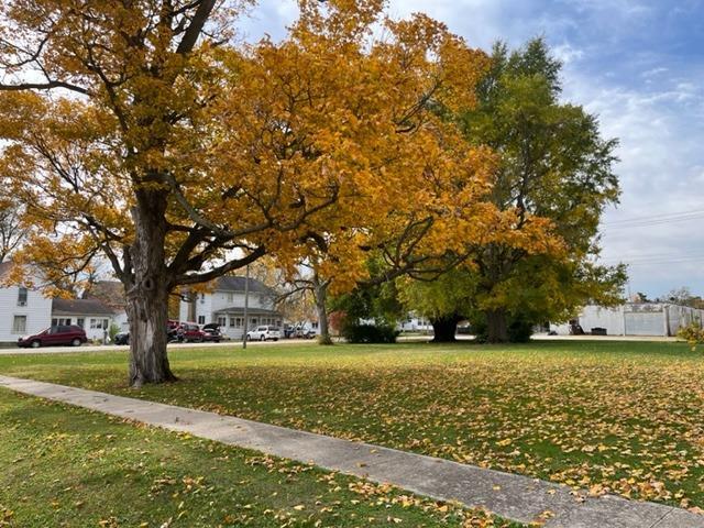 Photo of 322 S James Street, Goodland, IN 47948 (MLS # 845261)
