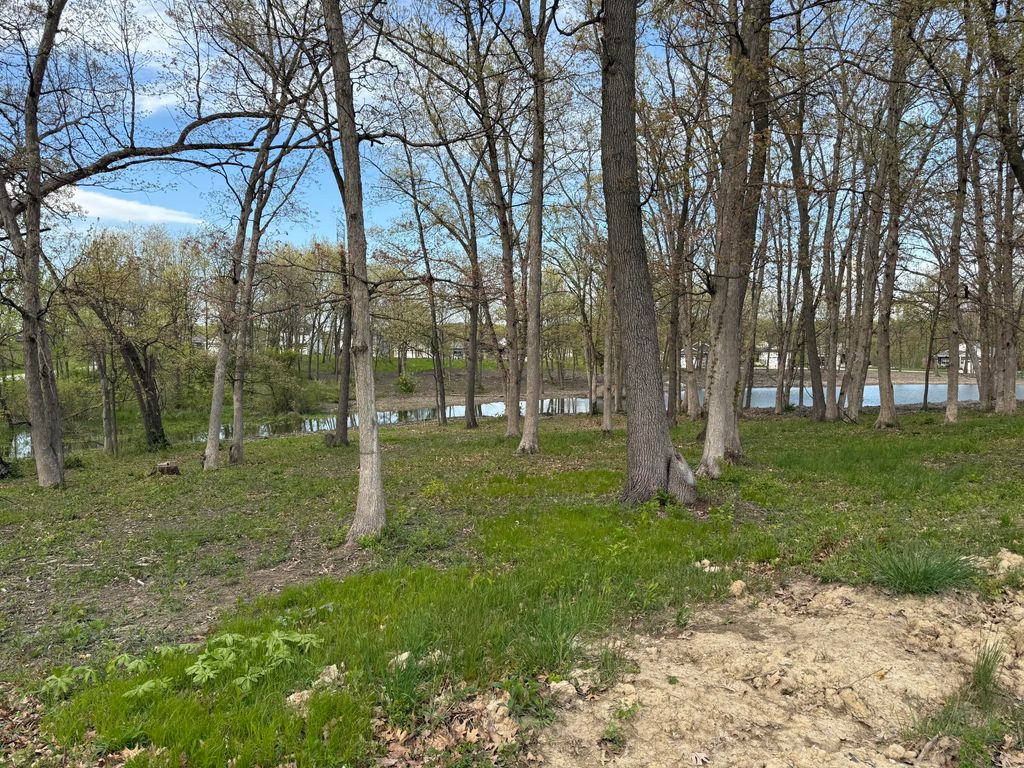 Photo of 733 Druim Trail, Crown Point, IN 46307 (MLS # 831410)