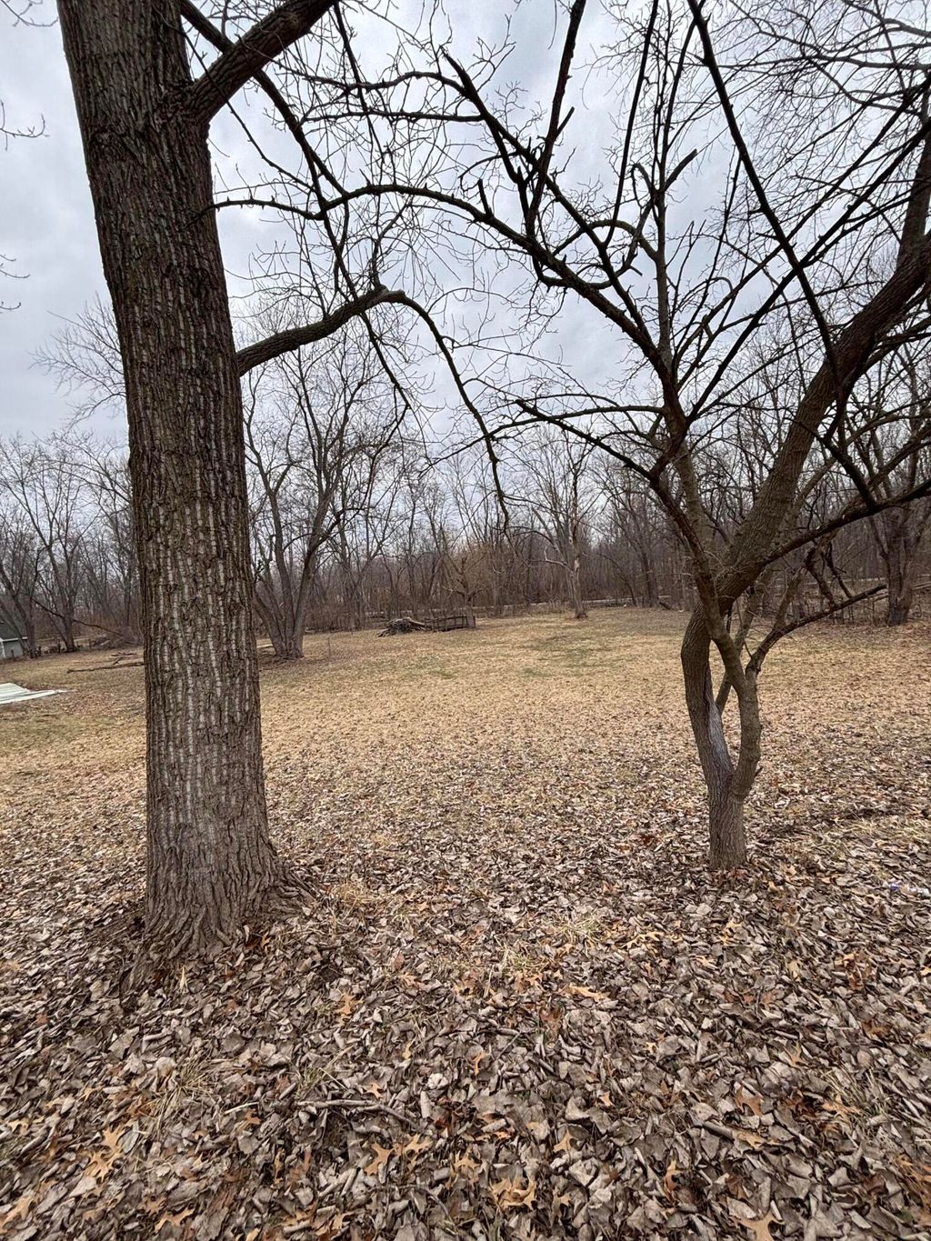 Photo of 0 W 140th Place, Cedar Lake, IN 46303 (MLS # 835046)