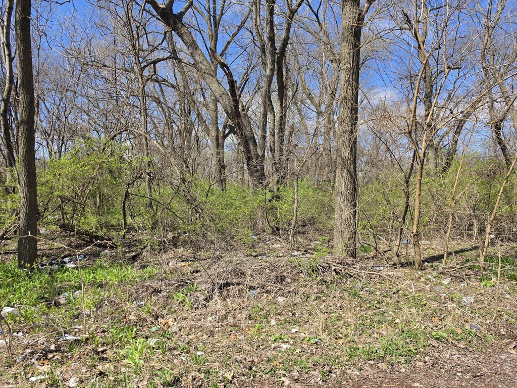 Photo of 1124 Mount Street, Gary, IN 46406 (MLS # 838219)