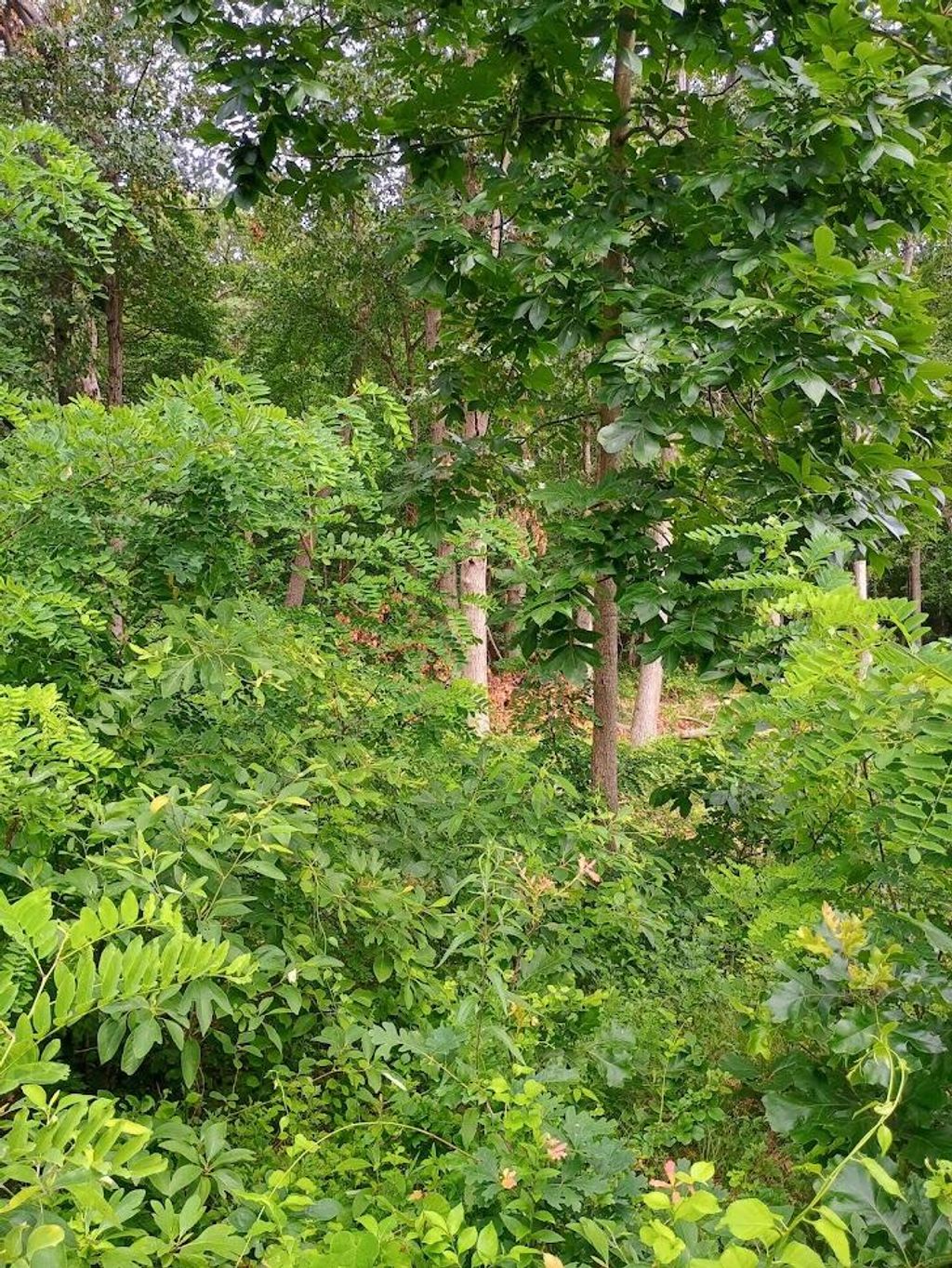 Photo of 3776 S Woodland Road, Knox, IN 46534 (MLS # 842201)