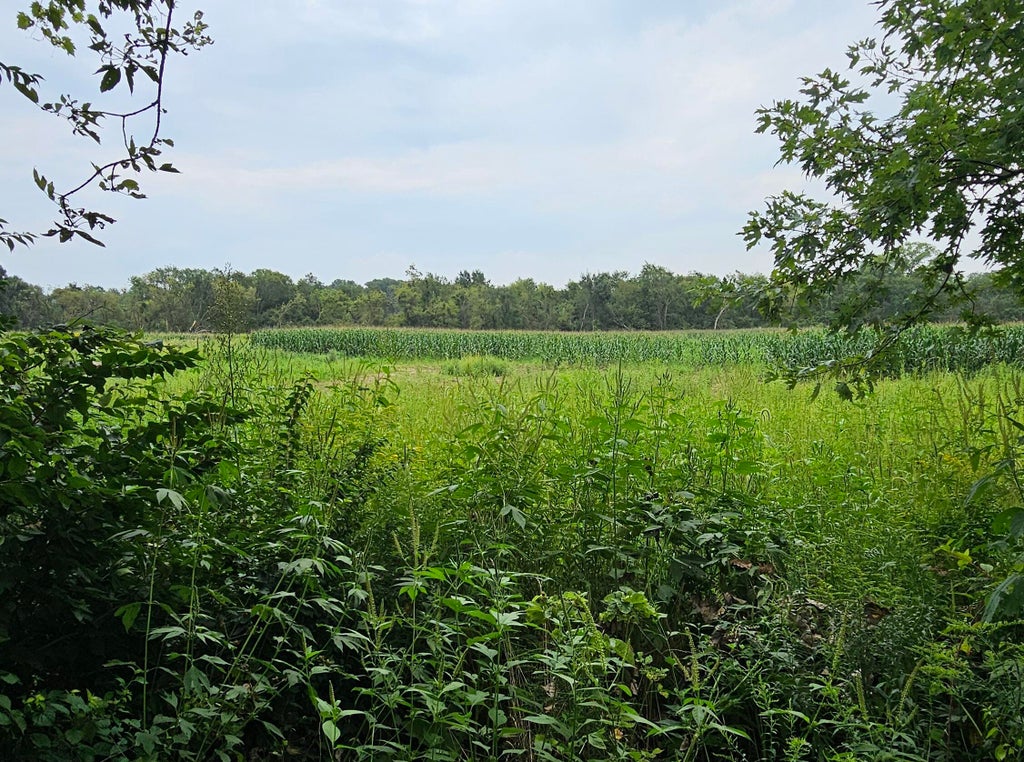 Photo of 875 N 625 E, Westville, IN 46391 (MLS # 844189)