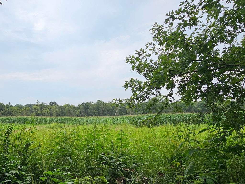 Photo of 875 N 625 E, Westville, IN 46391 (MLS # 844189)