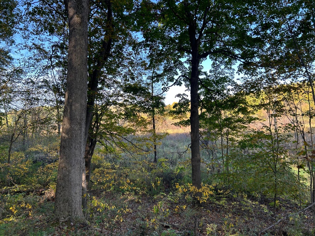Photo of 4461 E 900 N, Rolling Prairie, IN 46371 (MLS # 846787)