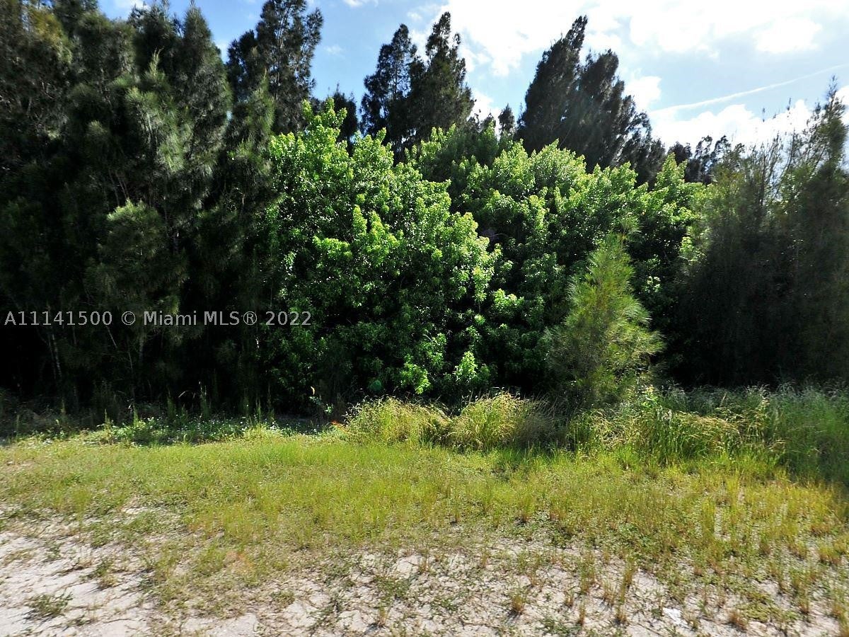 45 Savannah Rd