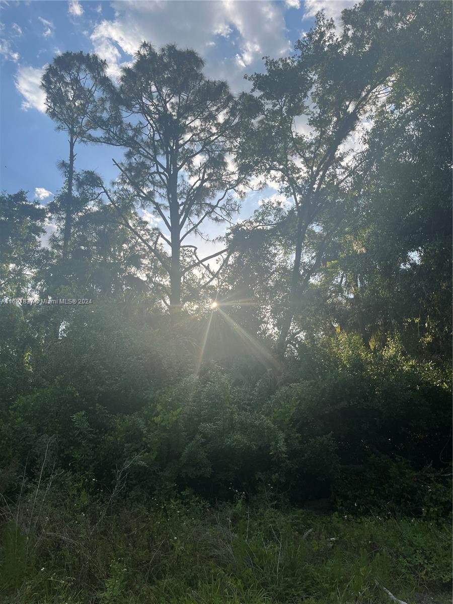 LEHIGH ACRES - Land