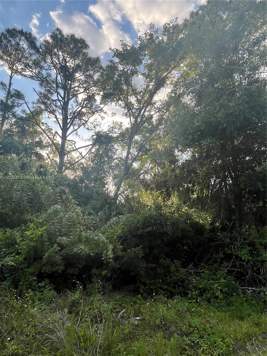 LEHIGH ACRES - Land