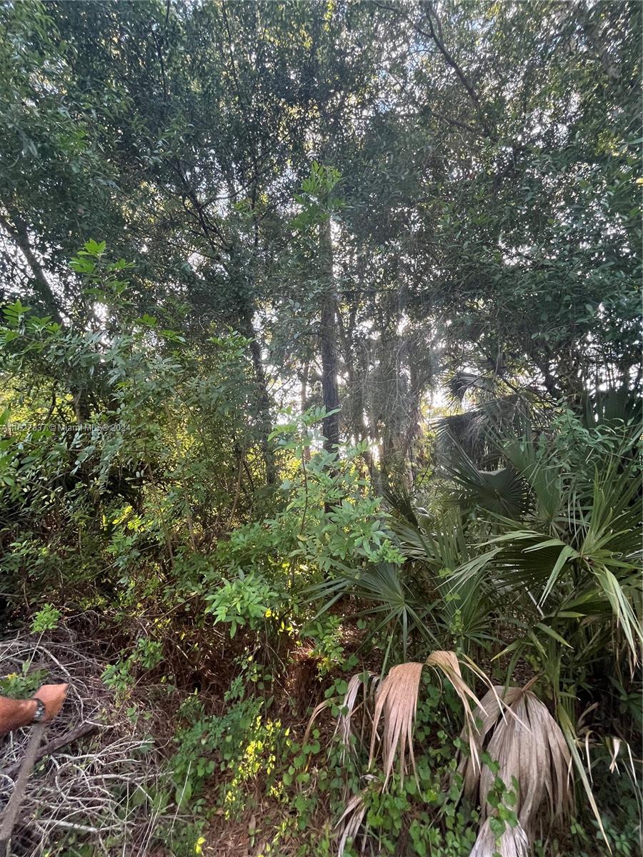 LEHIGH ACRES - Land
