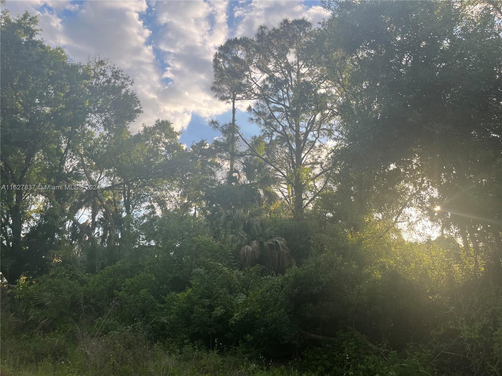 LEHIGH ACRES - Land
