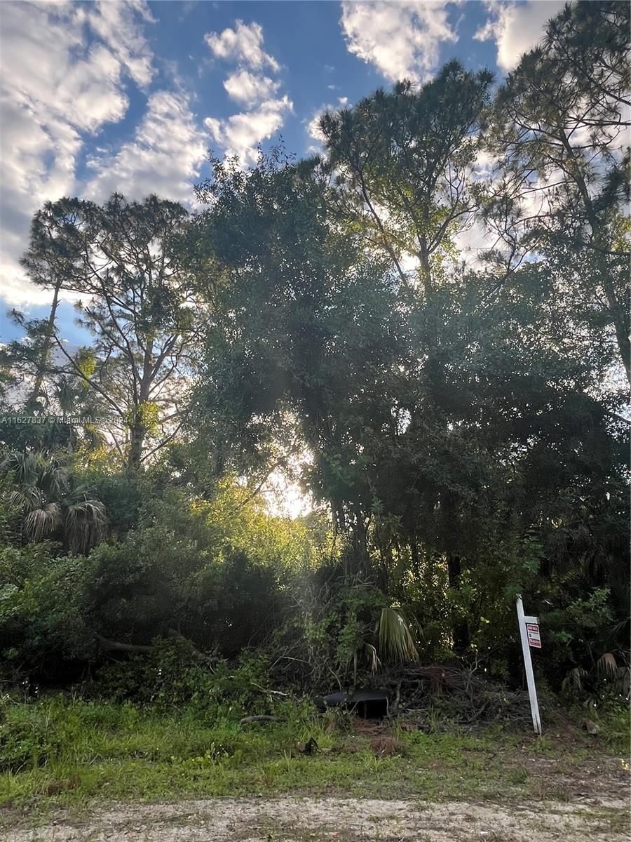 LEHIGH ACRES - Land