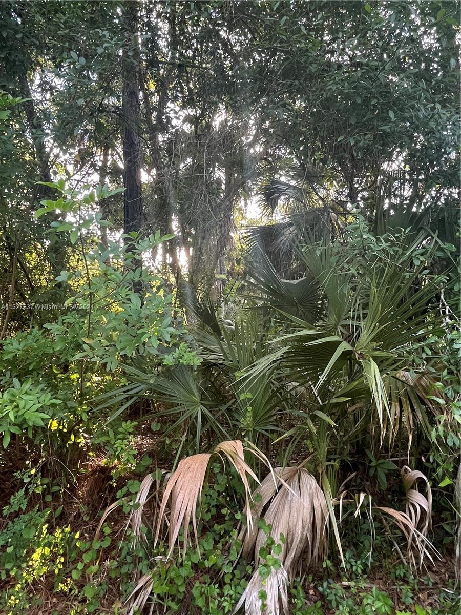 LEHIGH ACRES - Land