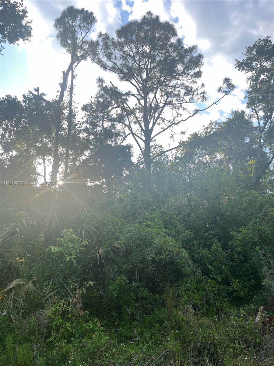 LEHIGH ACRES - Land