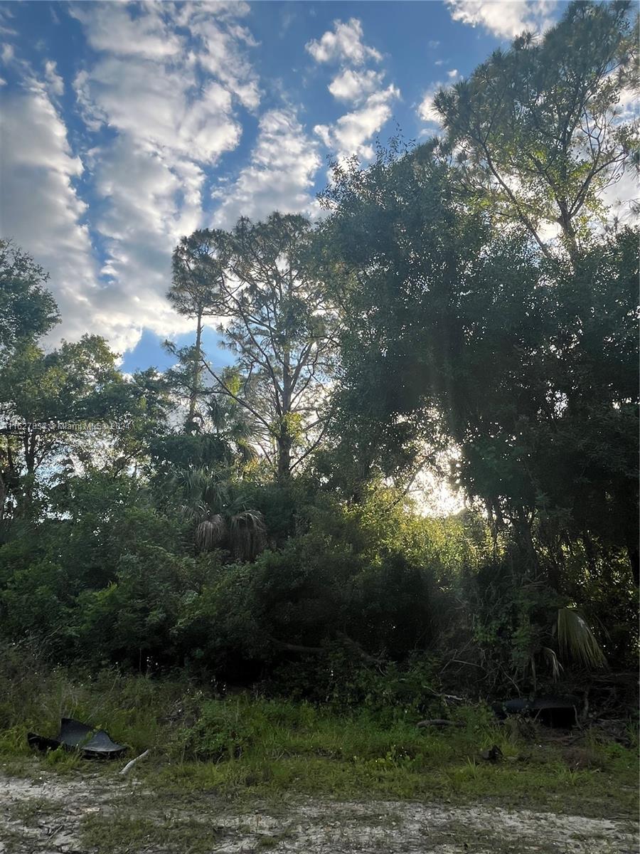 LEHIGH ACRES - Land