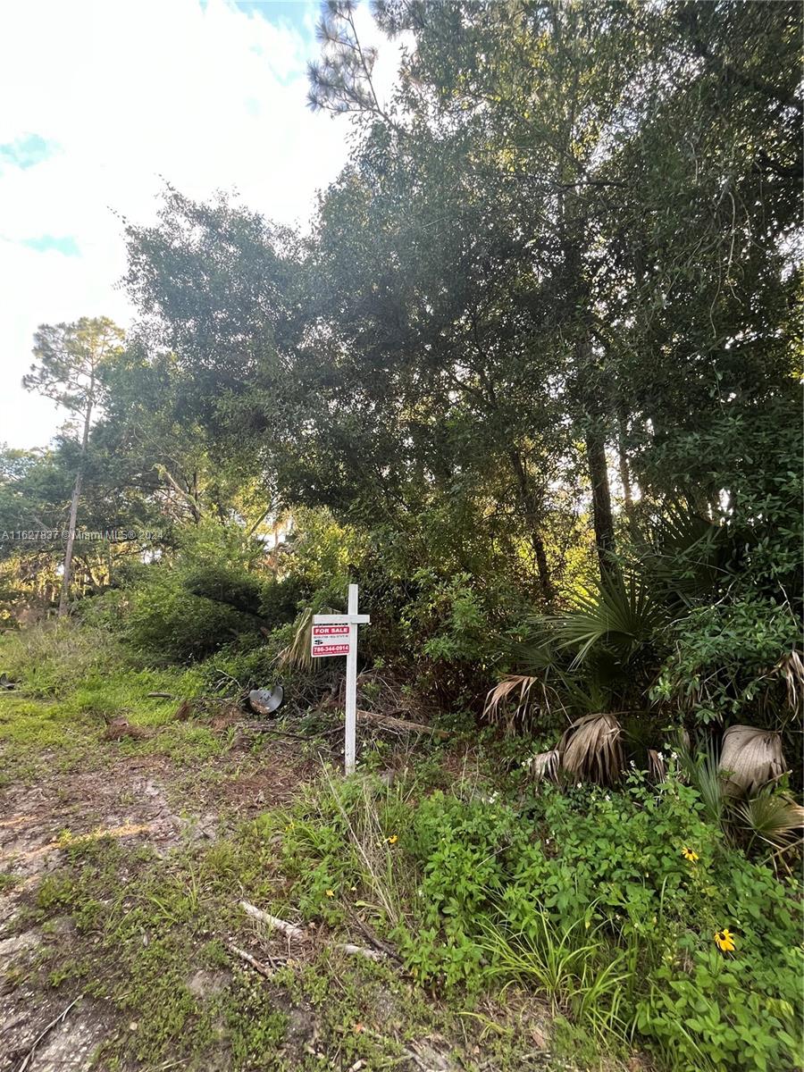 LEHIGH ACRES - Land