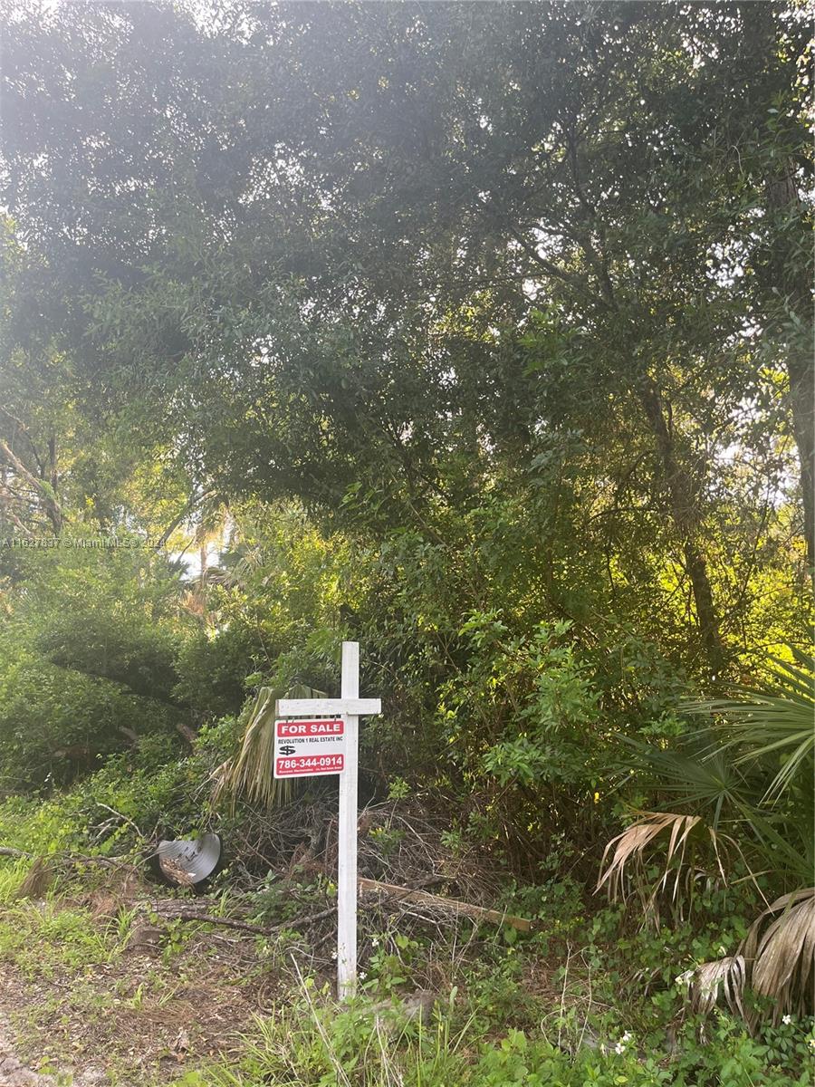 LEHIGH ACRES - Land