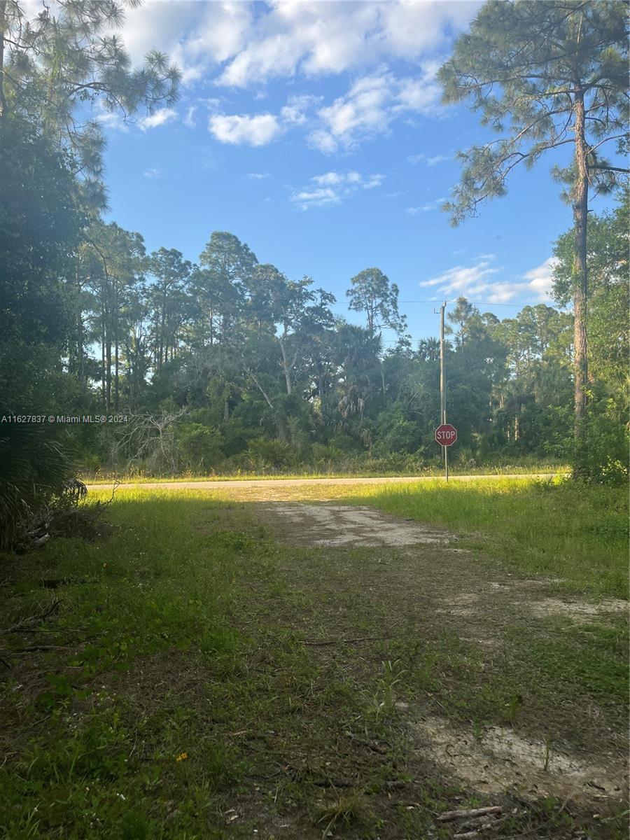 LEHIGH ACRES - Land