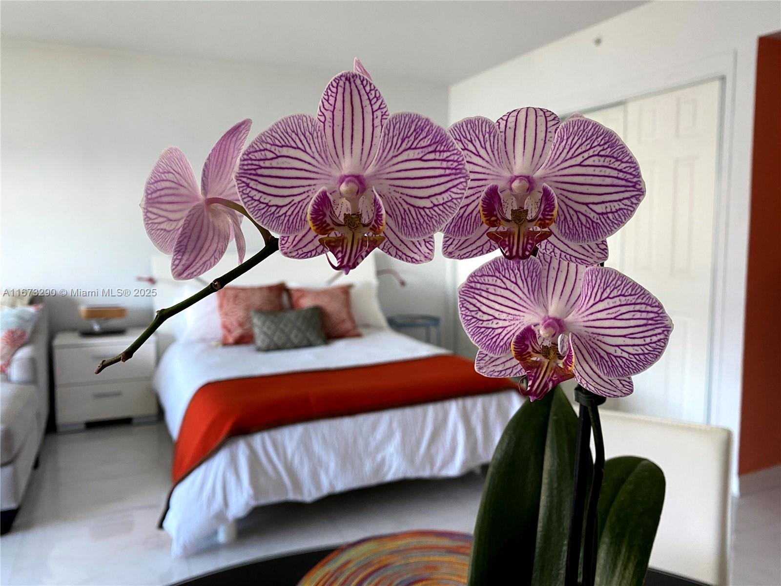 FLAMINGO SOUTH BEACH I CO - Residential Lease