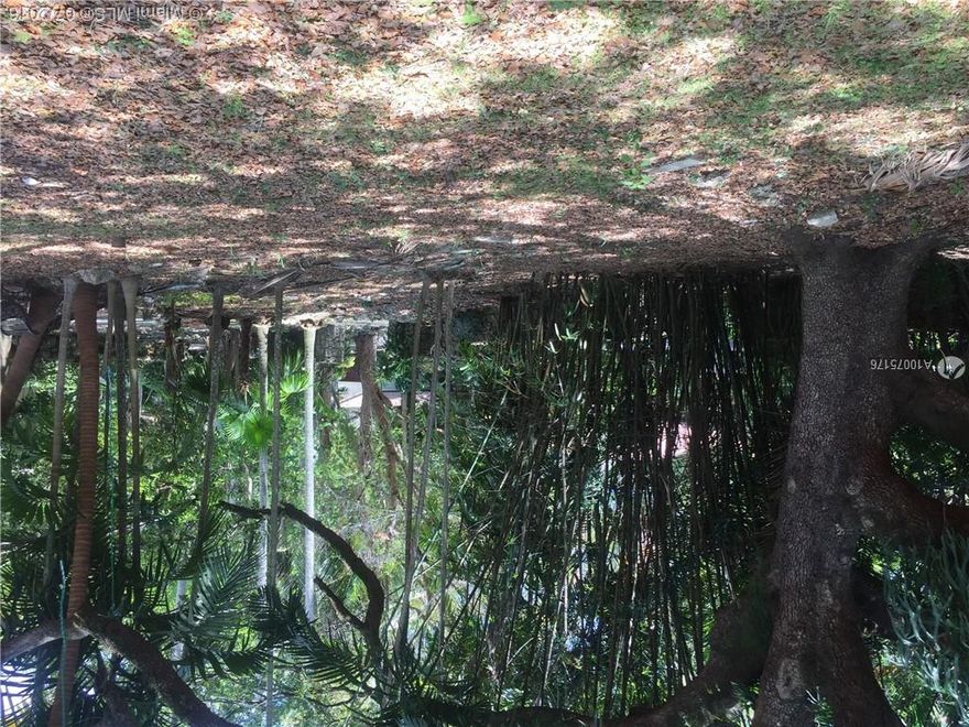 Location is everything when you build your dream house and one day when you sell. Beautiful 17,000 SF lot sitting 19.39 Ft. above sea level and on a great Cul de Sac. Lot includes parcel 01-4128-018-0030. Incredible natural foliage with 100+ year old oak tree. Price includes approved plans by award winning architect Roney Mateu.  Nice walk to Coconut Grove shops and lifestyle.  Also available as a New Construction house with pre-construction contract available. See MLS#A10075113.