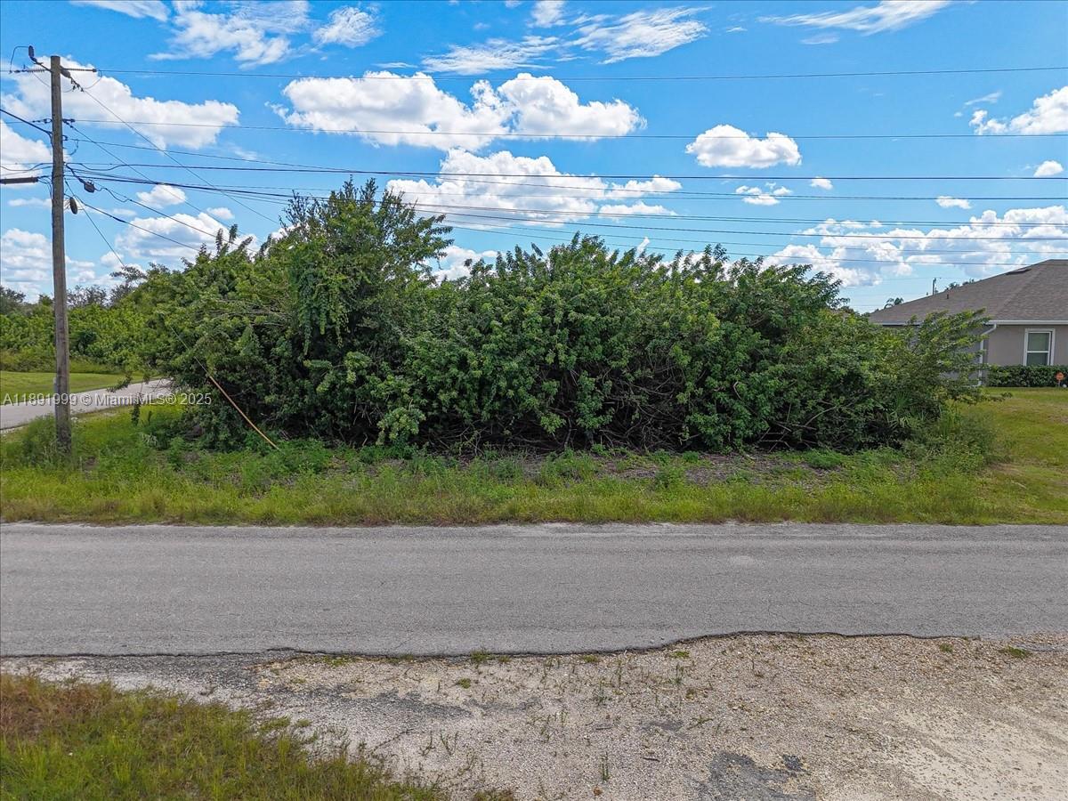 UNICORPORATED LEHIGH ACRES - Land