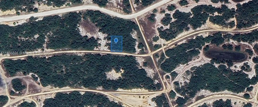 OWNER FINANCING!!! 1,000 DOWN 243.93 PER MONTH FOR 36 MONTHS AT 7% INTEREST. Hard packed gravel Road. High and Dry. Ready to build. Located in Lake Placid, in Sun 'n Lake area you will find this great lot to build your home. The new amenities to this park are amazing with a private beach for you to watch the sunrise and the sunset every day!, a boat ramp, a community clubhouse, a great fishing spot by the way, a playground and more!