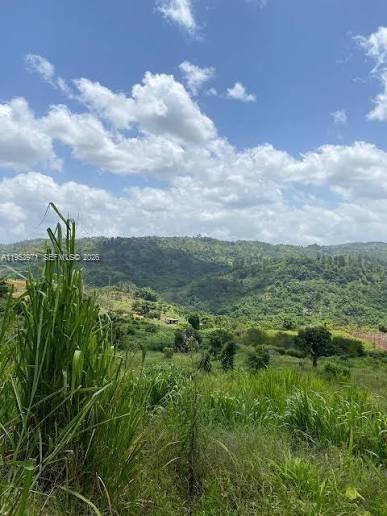 1 Colleyville, Manchester, Jamaica