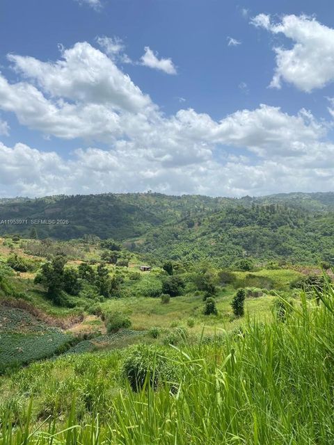 1 Colleyville, Manchester, Jamaica Manchester FL