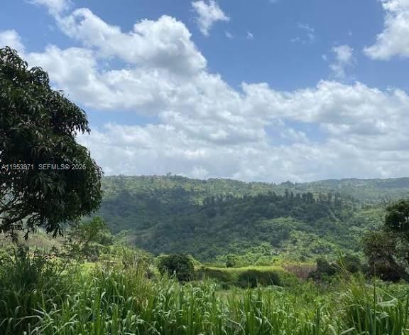 1 Colleyville, Manchester, Jamaica