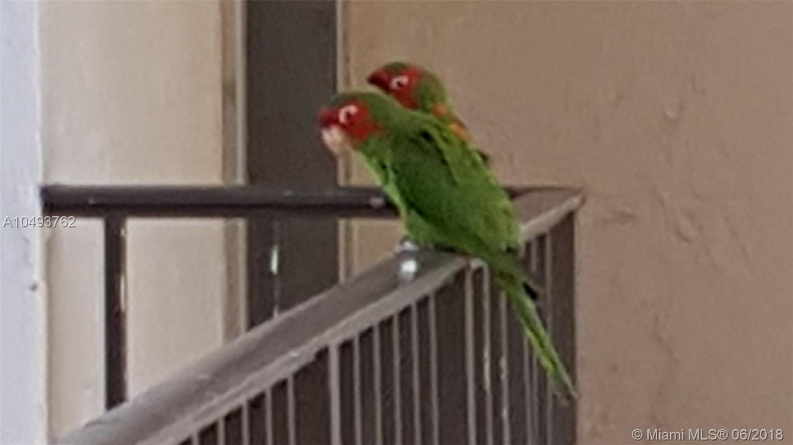 DADELAND GROVE CONDO - Residential Lease