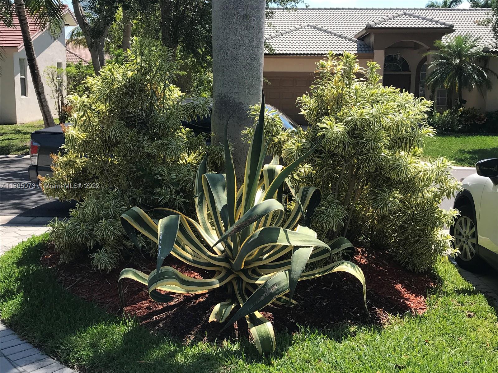 CORAL CREEK 146-6 B - Residential