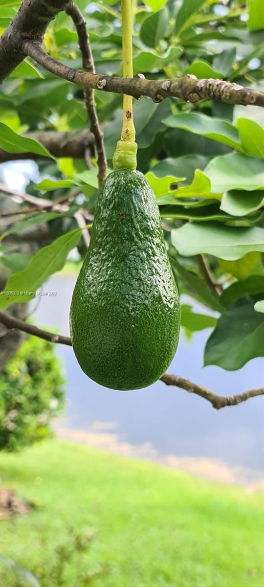 CORAL CREEK 146-6 B - Residential