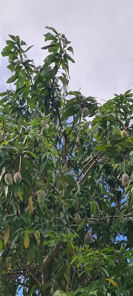 CORAL CREEK 146-6 B - Residential