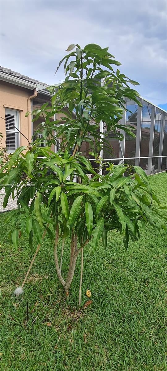 CORAL CREEK 146-6 B - Residential