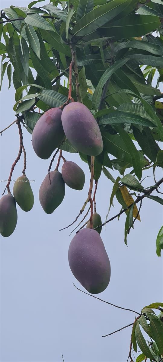 CORAL CREEK 146-6 B - Residential