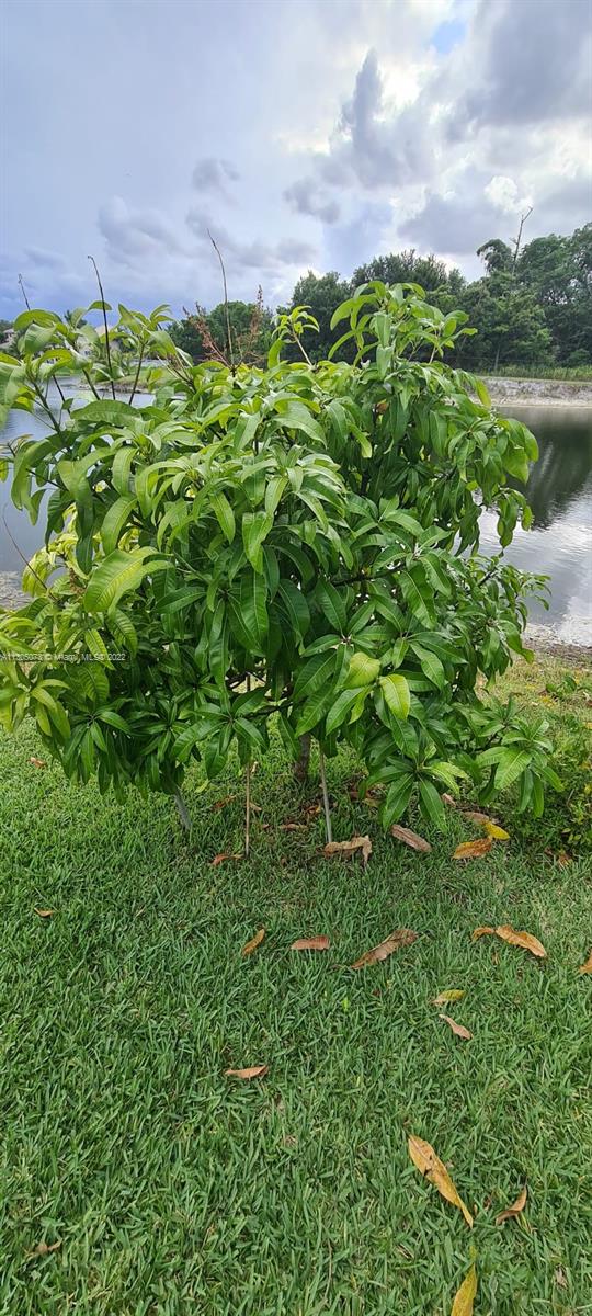 CORAL CREEK 146-6 B - Residential