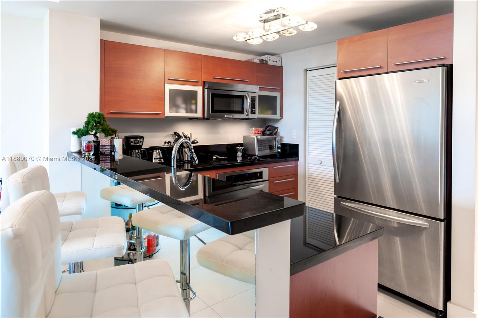 VIZCAYNE SOUTH CONDO - Residential