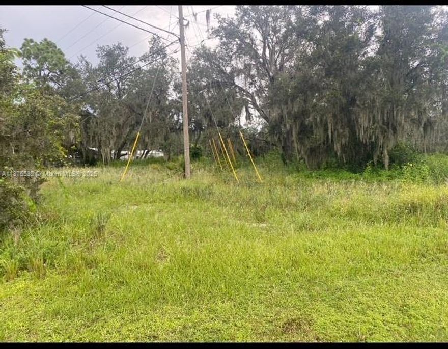 Welcome to Sebring the Lake City! This lot is over a half acre and walking distance to the boat dock and picnic are of Red Beach Lake. You can build your dream property with lake views. If you like nature and water activities nestled in a quiet neighborhood. This is the lot for you. This is a must see area as it is quiet and tranquil. This maybe the last available lot for sale in this neighborhood. The lot next door belongs to the city and they say they don't intend to build on it .