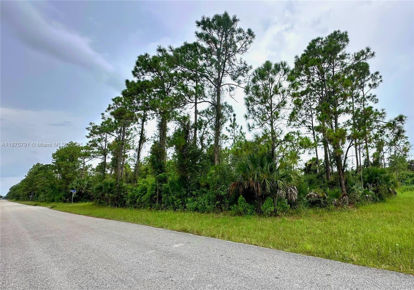 Oversized 0.29-acre canal-front & cornet lot in Lehigh Acres! Great opportunity to build your dream home or invest in a fast-growing community. Located in a quiet residential neighborhood of Lehigh Acres, with easy access to main roads (close to SR-82, Lee Blvd, and Homestead Rd). Close to schools, supermarkets, restaurants, gas stations, and essential services. Just a few minutes’ drive from Fort Myers and the beautiful beaches of the Gulf of Mexico.