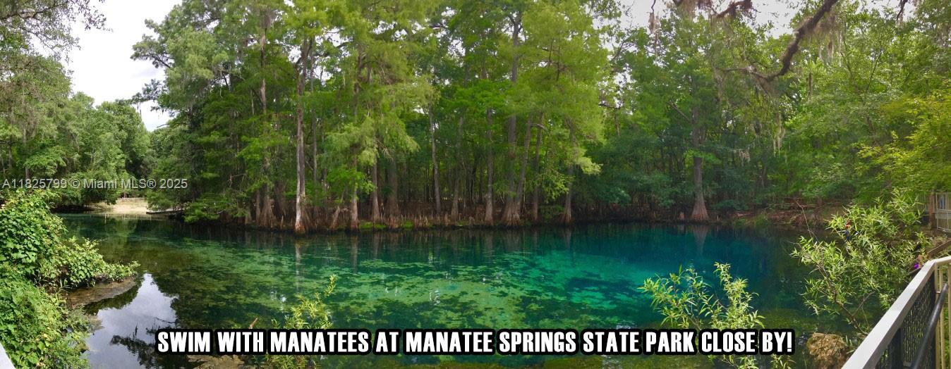 FANNIN FOREST - Land