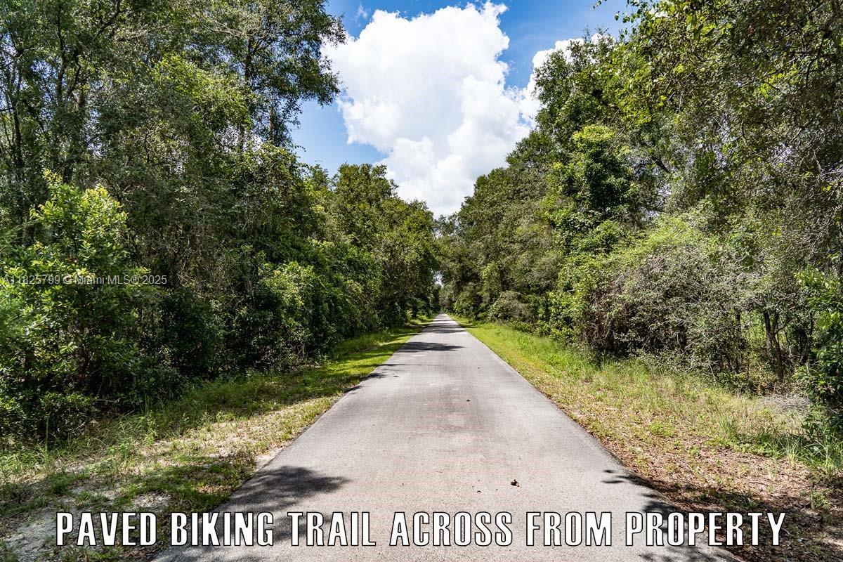 FANNIN FOREST - Land