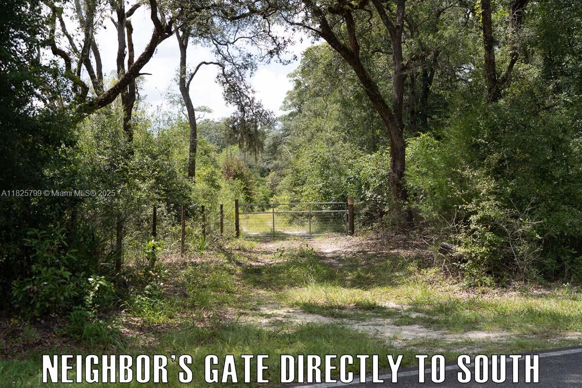 FANNIN FOREST - Land