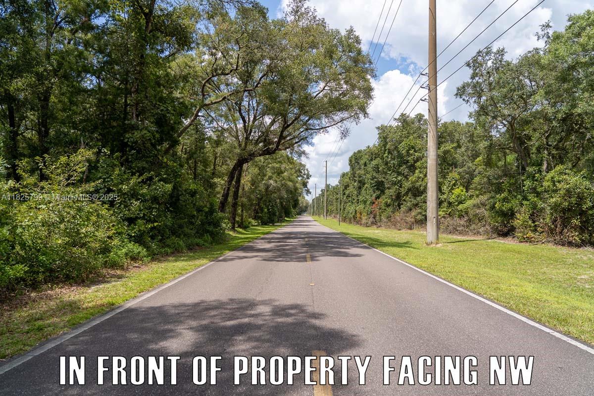 FANNIN FOREST - Land