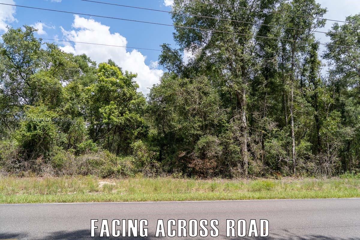 Old Fanning Rd