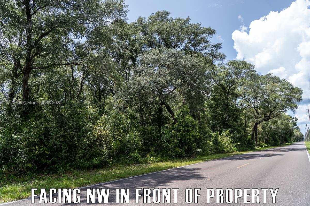 FANNIN FOREST - Land